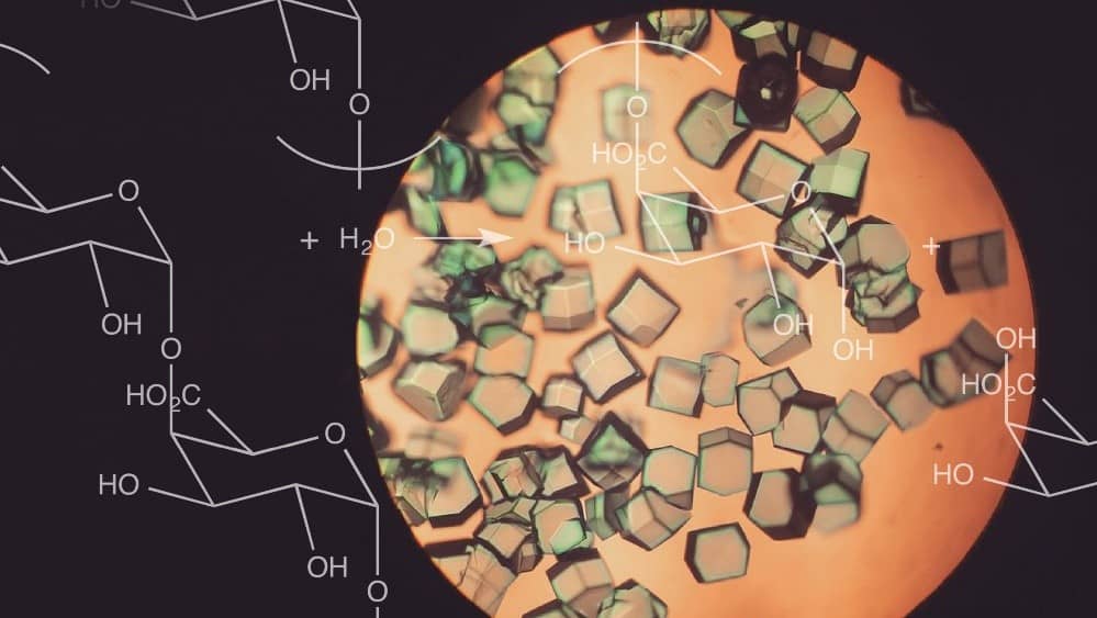 Enzymes